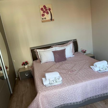 Guest House Tatiana /Къща За Гости Татяна 佩特里奇 外观 照片